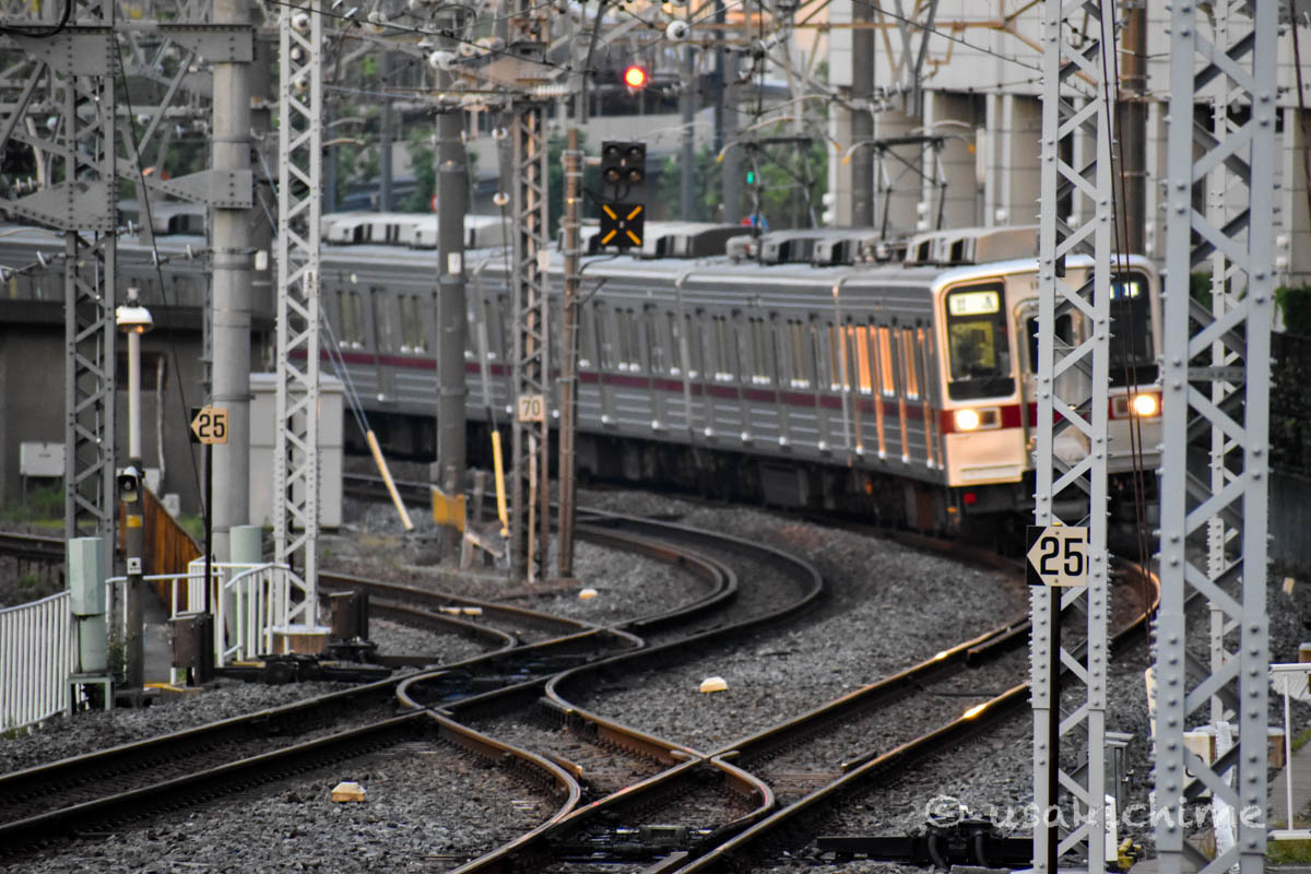 電車＠とうきょうスカイツリー駅（東武スカイツリーライン）
